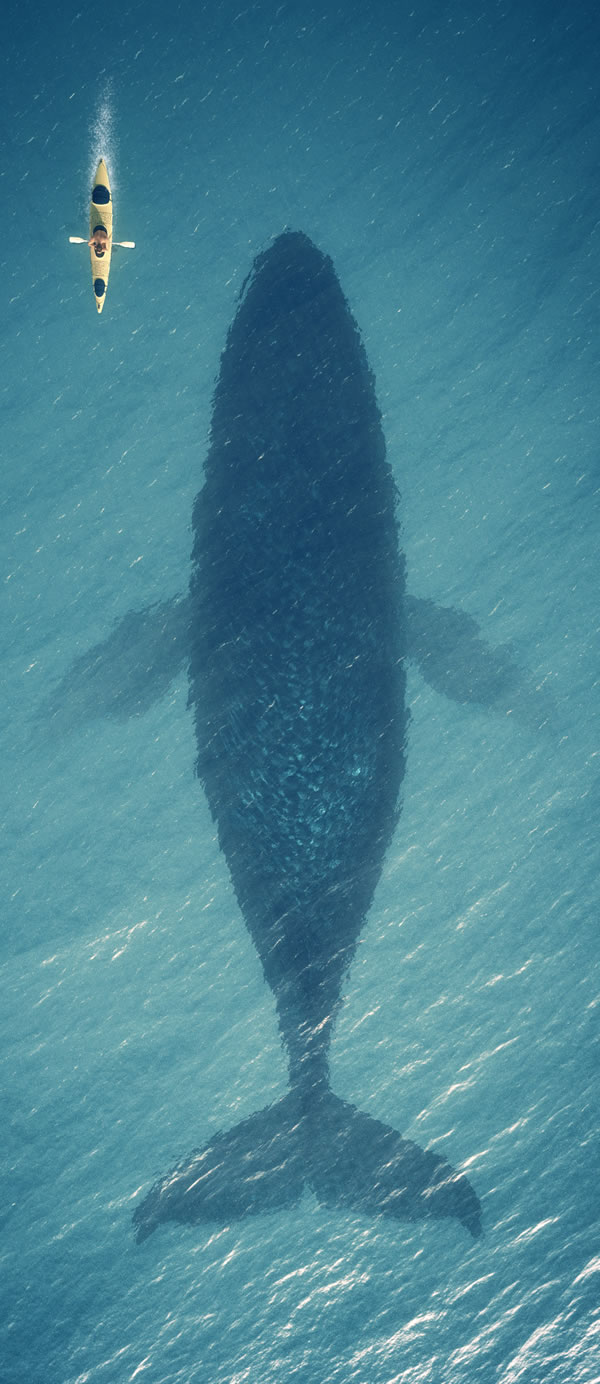 SalesGenomix offers partners high earning potential (image of small boat and huge whale)